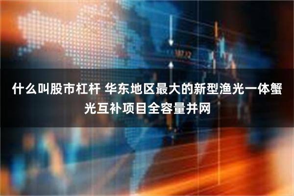 什么叫股市杠杆 华东地区最大的新型渔光一体蟹光互补项目全容量并网