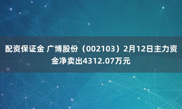 配资保证金 广博股份（002103）2月12日主力资金净卖出4312.07万元