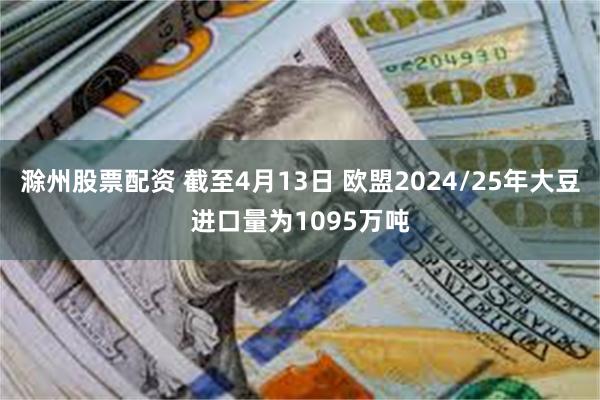 滁州股票配资 截至4月13日 欧盟2024/25年大豆进口量为1095万吨