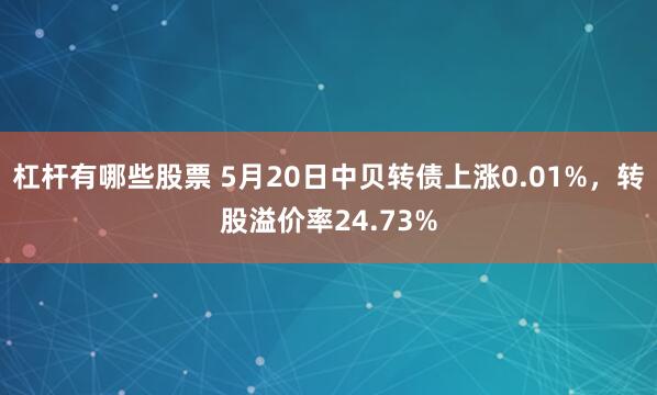 杠杆有哪些股票 5月20日中贝转债上涨0.01%，转股溢价率24.73%