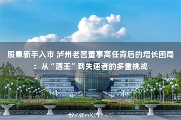 股票新手入市 泸州老窖董事离任背后的增长困局：从“酒王”到失速者的多重挑战