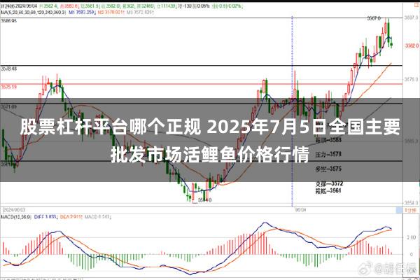 股票杠杆平台哪个正规 2025年7月5日全国主要批发市场活鲤鱼价格行情