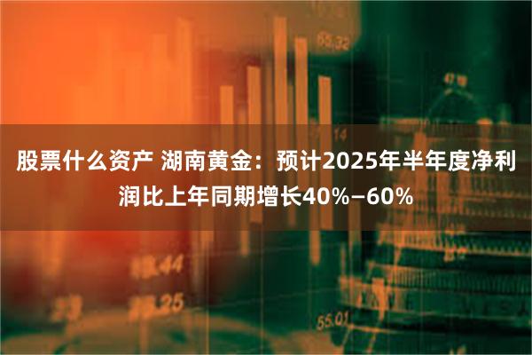 股票什么资产 湖南黄金:预计2025年半年度净利润比上年同期增长40%—60%