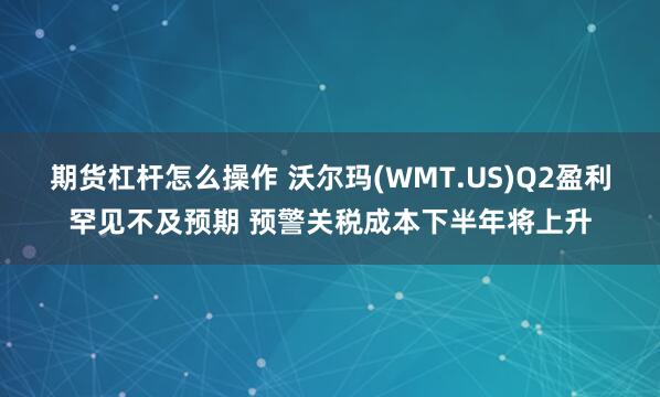 期货杠杆怎么操作 沃尔玛(WMT.US)Q2盈利罕见不及预期 预警关税成本下半年将上升