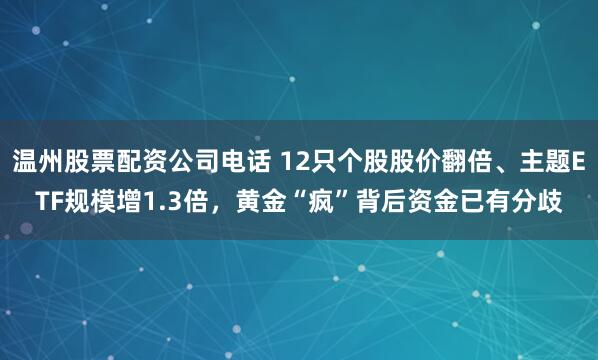 温州股票配资公司电话 12只个股股价翻倍、主题ETF规模增1.3倍，黄金“疯”背后资金已有分歧