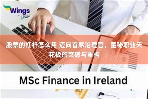 股票的杠杆怎么用 迈向首席治理官，董秘职业天花板的突破与重构